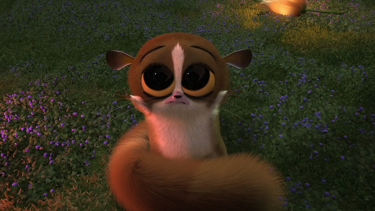Mort Madagascar